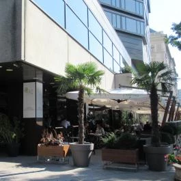 ARZ Libanoni Étterem Budapest - Egyéb