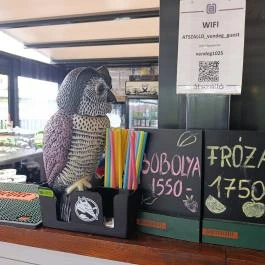 Átszálló Budapest - Belső