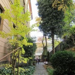 Auguszt Cukrászda Budapest - Egyéb