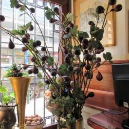 Auguszt Cukrászda Budapest - Egyéb