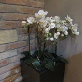 Avalon Resort & Spa Miskolctapolca - Belső