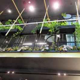 Axis Café & Lounge - Crowne Plaza Budapest Budapest - Egyéb