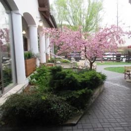 AzÉn Anyósom, Alsópáhok - Egyéb