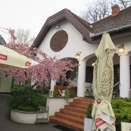 AzÉn Anyósom, Alsópáhok - Egyéb