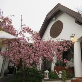 AzÉn Anyósom, Alsópáhok - Egyéb