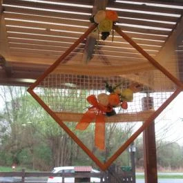 AzÉn Anyósom, Alsópáhok - Egyéb