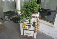 AzÉn Anyósom Alsópáhok