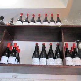 Babka Budapest - Egyéb