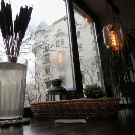 Babka Budapest - Egyéb