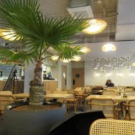 Babutzi Budapest - Belső