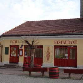 Bacchus Étterem Tokaj - Külső kép