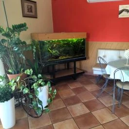 Bagaméri Cukrászda, Tata - Belső