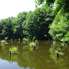 Bakonyi Gyilkos-tó, Ugod - 
