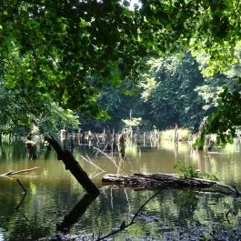 Bakonyi Gyilkos-tó Ugod - Egyéb