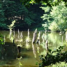 Bakonyi Gyilkos-tó Ugod - Egyéb