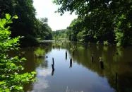 Bakonyi Gyilkos-tó Ugod