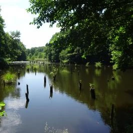 Bakonyi Gyilkos-tó Ugod - Egyéb