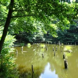 Bakonyi Gyilkos-tó Ugod - Egyéb