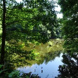 Bakonyi Gyilkos-tó Ugod - Egyéb