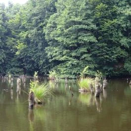 Bakonyi Gyilkos-tó Ugod - Egyéb