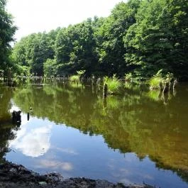 Bakonyi Gyilkos-tó Ugod - Egyéb