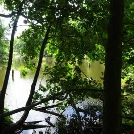 Bakonyi Gyilkos-tó Ugod - Egyéb