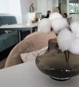 Balance - Taste Gallery