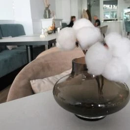 Balance - Taste Gallery, Miskolc - Egyéb