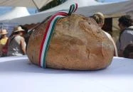 Balmaz Sütöde Hajdúszoboszló