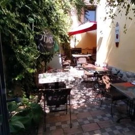 Teddy Beer, Szentendre - Egyéb