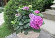 Barabás Villa Kávézó Budapest