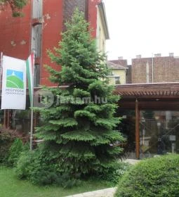 Barabás Villa Kávézó