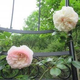 Barabás Villa Budapest - Egyéb