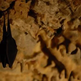 Baradla-barlang Vörös-tói Látogatóközpont, Aggtelek - 