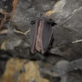 Baradla-barlang Vörös-tói Látogatóközpont, Aggtelek - 