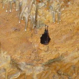 Baradla-barlang Vörös-tói Látogatóközpont, Aggtelek - 