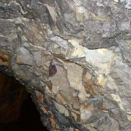 Baradla-barlang Vörös-tói Látogatóközpont, Aggtelek - 