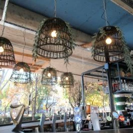 Bárka Szeged - Egyéb