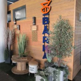 Bárka Szeged - Egyéb