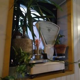 Barlang Klub & Terasz Szentendre - Belső