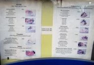 Baross Vendéglő Budapest