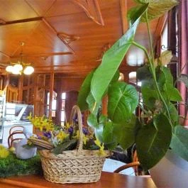 Barta Kávéház Tata - Belső