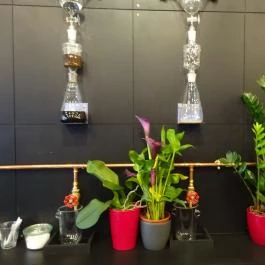 Bean Busters Budapest - Belső