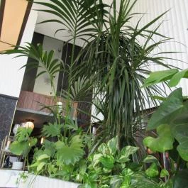 Beefbar Budapest Budapest - Belső