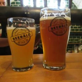 Beeráló - Craft Beer Pub Székesfehérvár - Egyéb