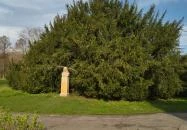 Beethoven szobra Martonvásár Beethoven szobra Martonvásár