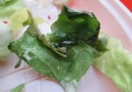 Belfrit - Mammut I. Budapest