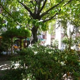 Bereg Bar & Cafe Budapest - Külső kép