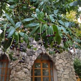 Bereg Bar & Cafe Budapest - Belső
