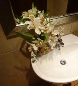 Berényi Cukrászda & Kávézó